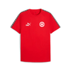 SV Großefehn x Puma King - T-Shirt - Teamdealer