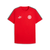 SV Großefehn x Puma King - T-Shirt - Teamdealer