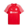 SV Großefehn x Puma - Trainingsshirt - Teamdealer
