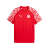 SV Großefehn x Puma - Trainingsshirt