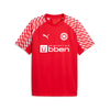 SV Großefehn x Puma - Trainingsshirt